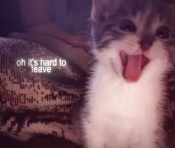 cute