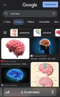 🤓