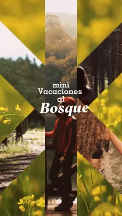 viaje al bosque 