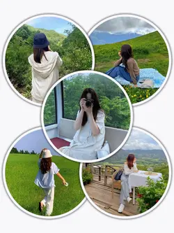 5Pic Frame Aesthetic