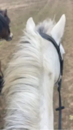 Ridingto the barn 🔛🔝
