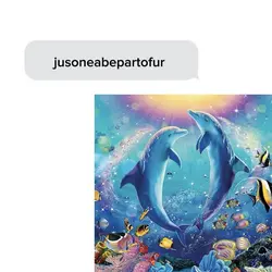 symphony dolphin 