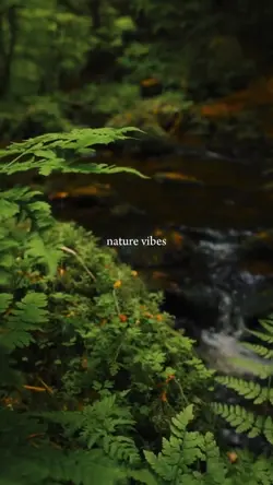 nature vibes
