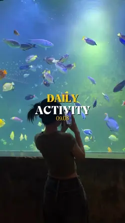 DAILY ACTIVITY