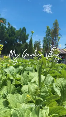 My Garden Vlog 🪴