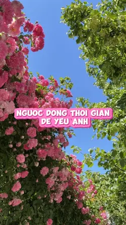 ost