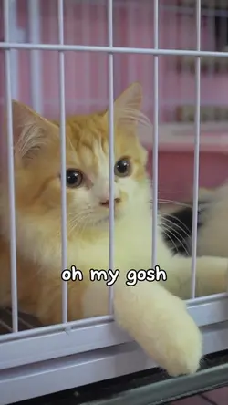 Oh my gosh!
