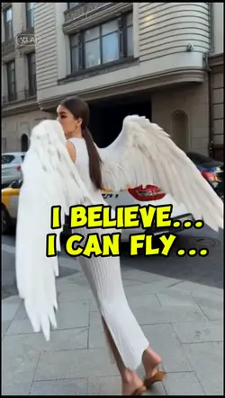 fly
