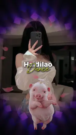 Cute pig