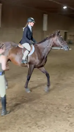 both horses were 