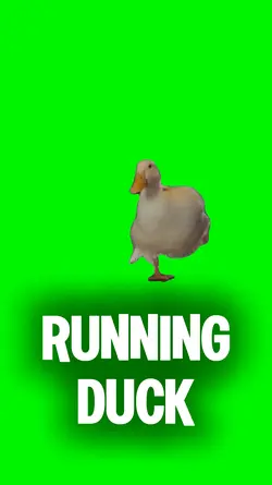 Running Duck Meme