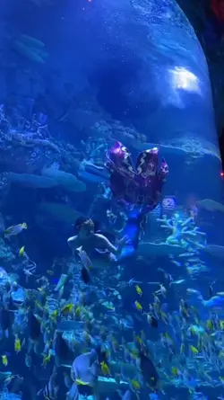 lihat mermaid 
