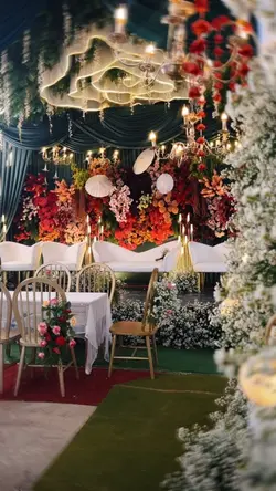 ambience decor