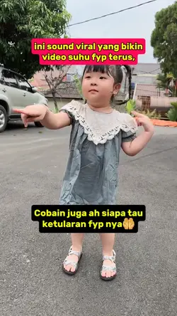 sound viral fb pro