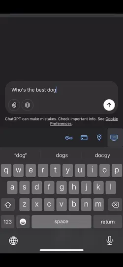 Best dog