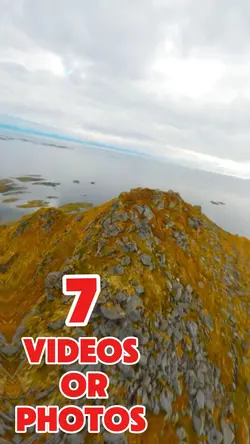 7 videos or photos 
