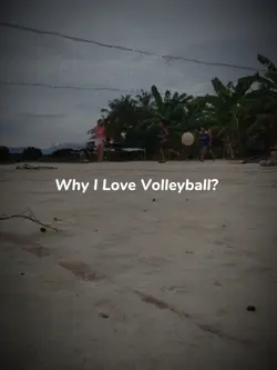 Vb! 