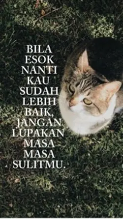 Bila esok nnti