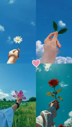 4 pics story