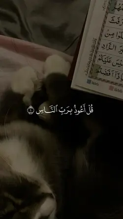سورة الاخلاص 