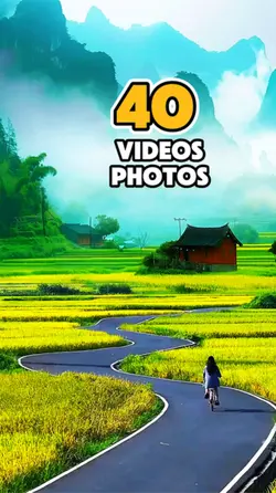 40 videos or photos