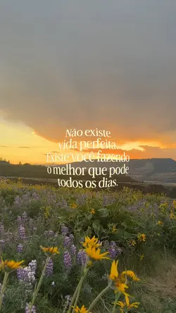 Não existe vida perf