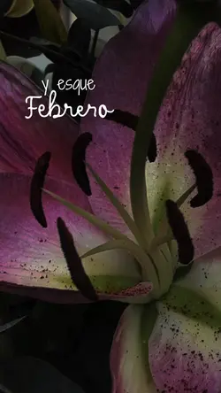 Febrero Contigo ❤️