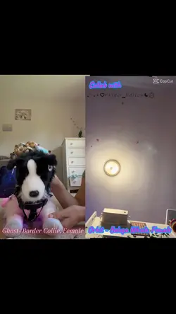 Collab!