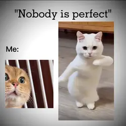 No Body is perfect