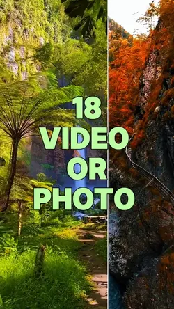 18 video or photo