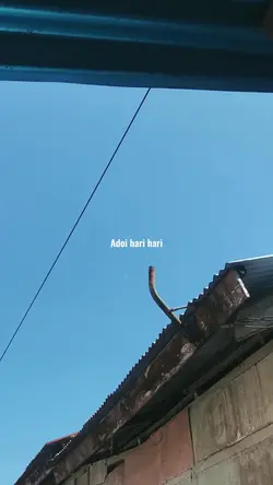 Kata kata 