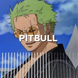 Pitbull‼️