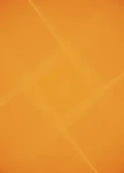 NEW TREND EDIT