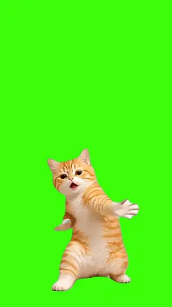 Cat/Gato.