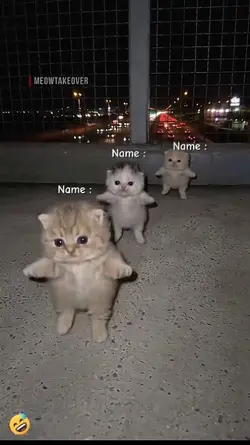 Write Your Names