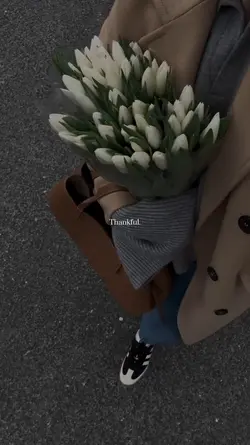 thankful. vlog