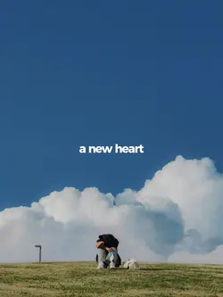 NEW HEART