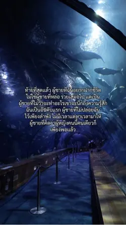 1รูป/วิดิโอ
