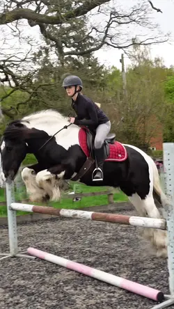 Bridleless <3