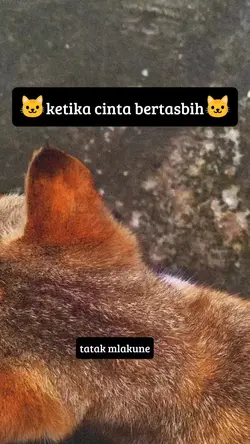 ketika