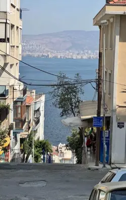 GELİYOSAA