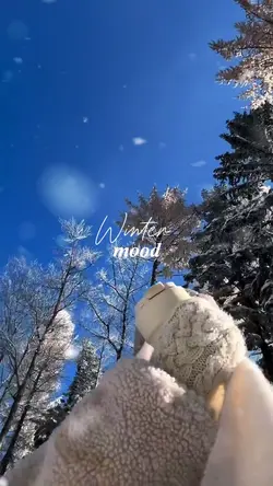 Winter mood 