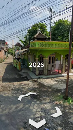 2026/15 Fireflies