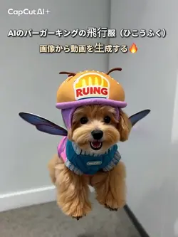AIのバーガーキングの飛行服(ひこうふく