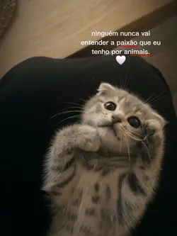 paixão por animais 