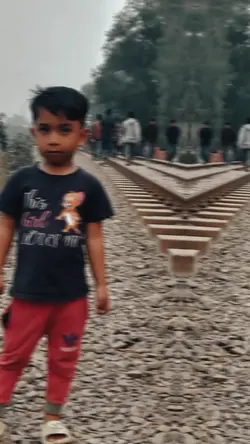ভয়েস