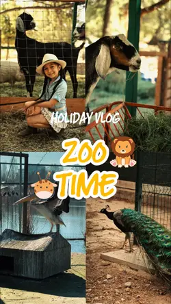 Zoo Time Vlog