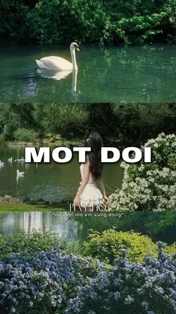 Một Đời