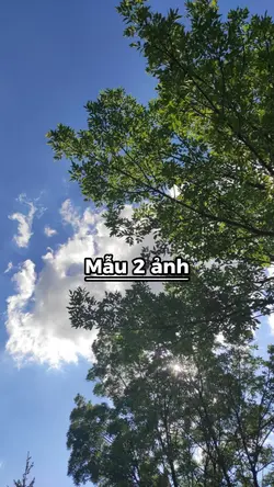 20/11 ngày nhà giáo 