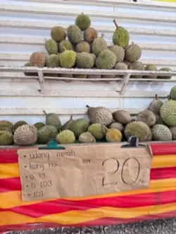 Oh kome durian 